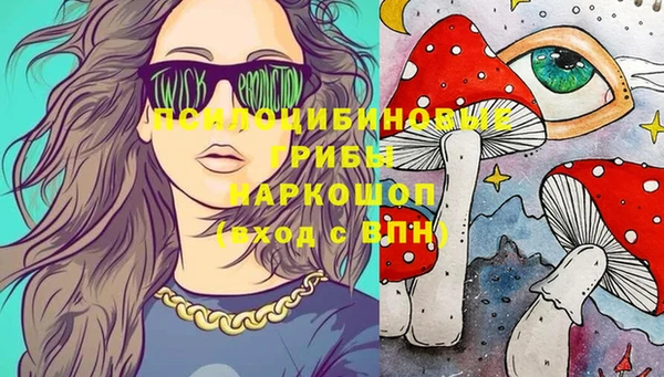таблы Богородицк